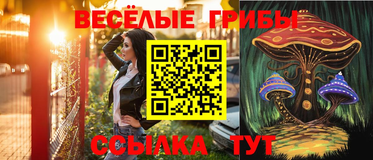 Ковров  Псилоцибиновые грибы Cubensis  Вход с VPN 