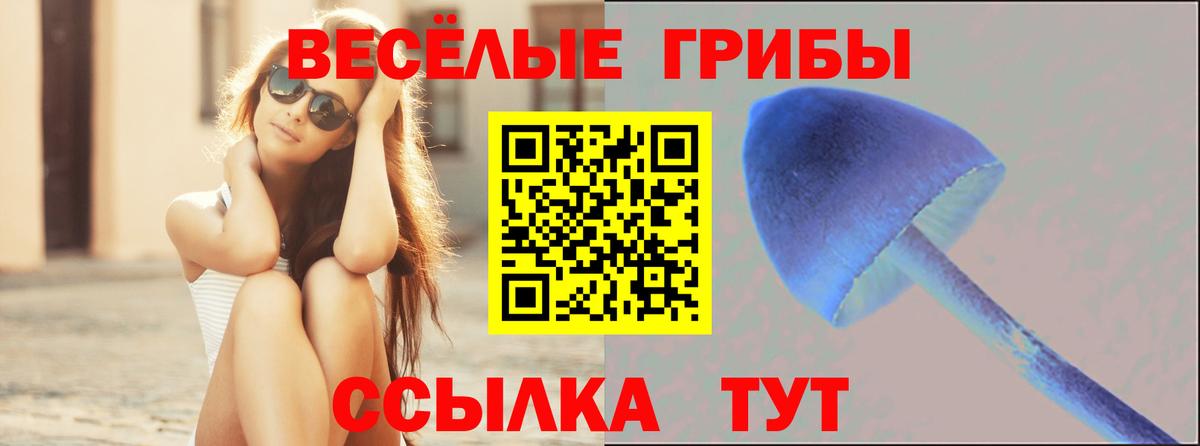 Галлюциногенные грибы прущие грибы Ковров